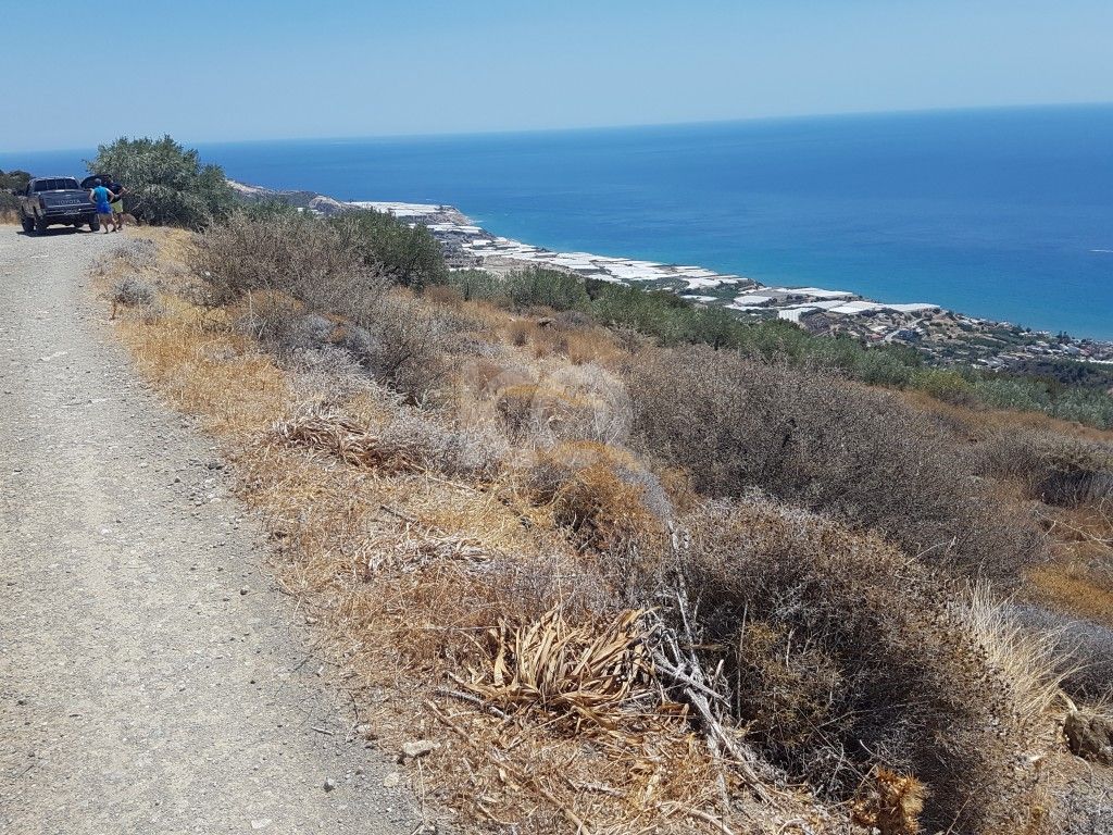 full-image_75057202205121652344209