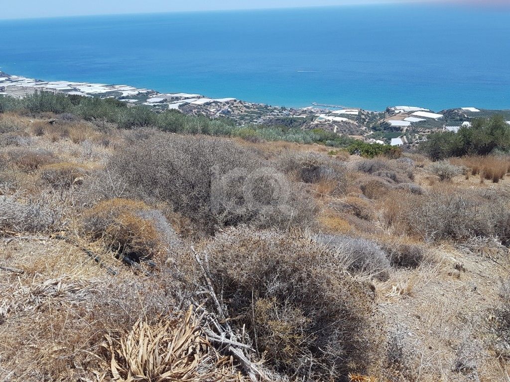 full-image_75057202205121652344223