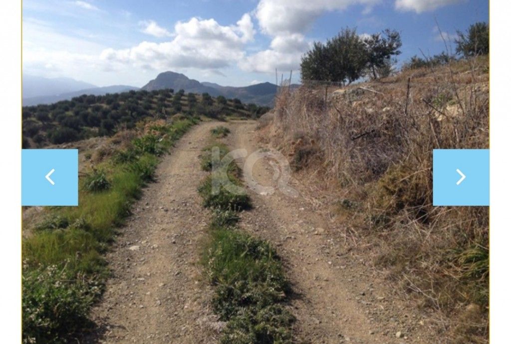 full-image_75057202205121652344369