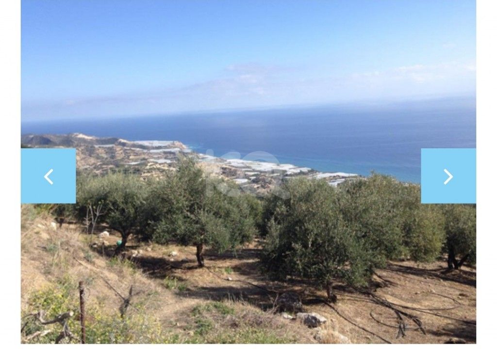 full-image_75057202205121652344374