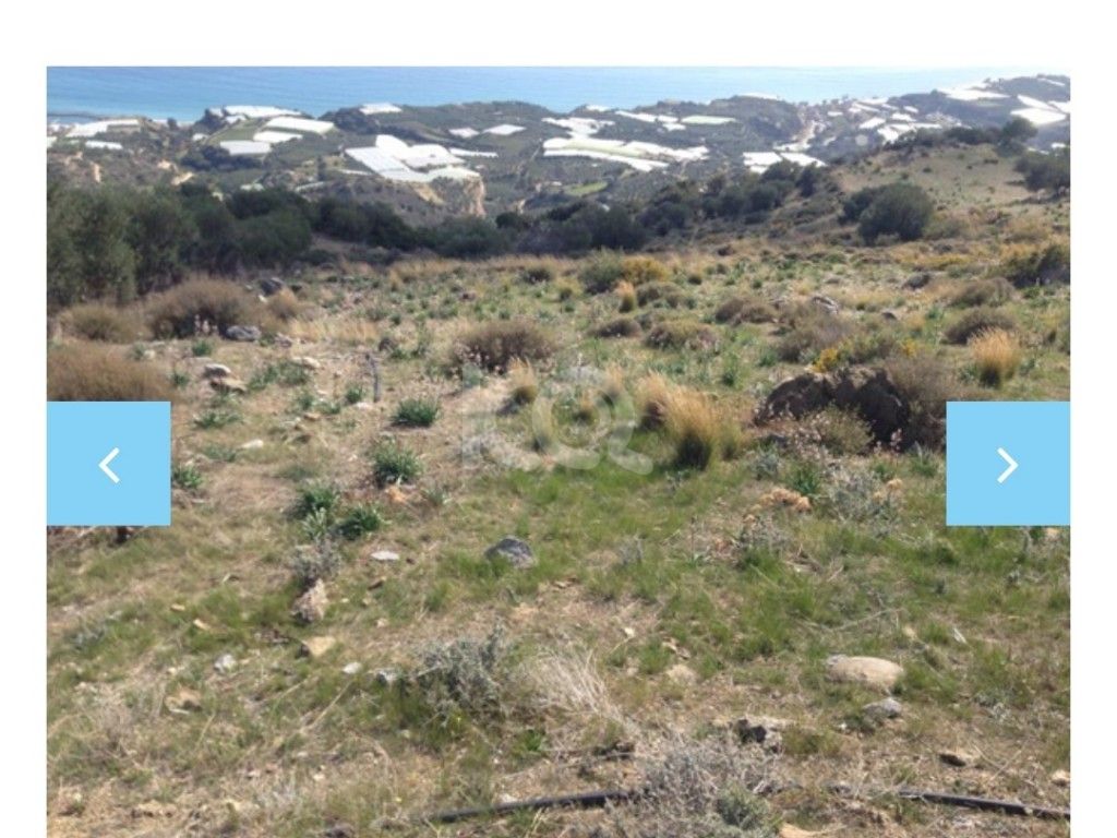 full-image_75057202205121652344376