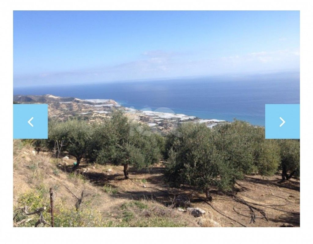 full-image_75057202205121652344384